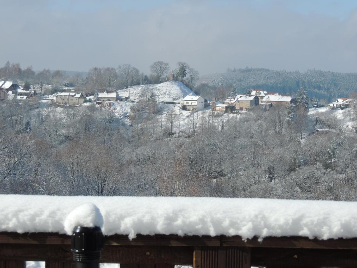 Au Chalet Bain Nordique Neuf Independant Calme Assure Haselbourg Zewnętrze zdjęcie