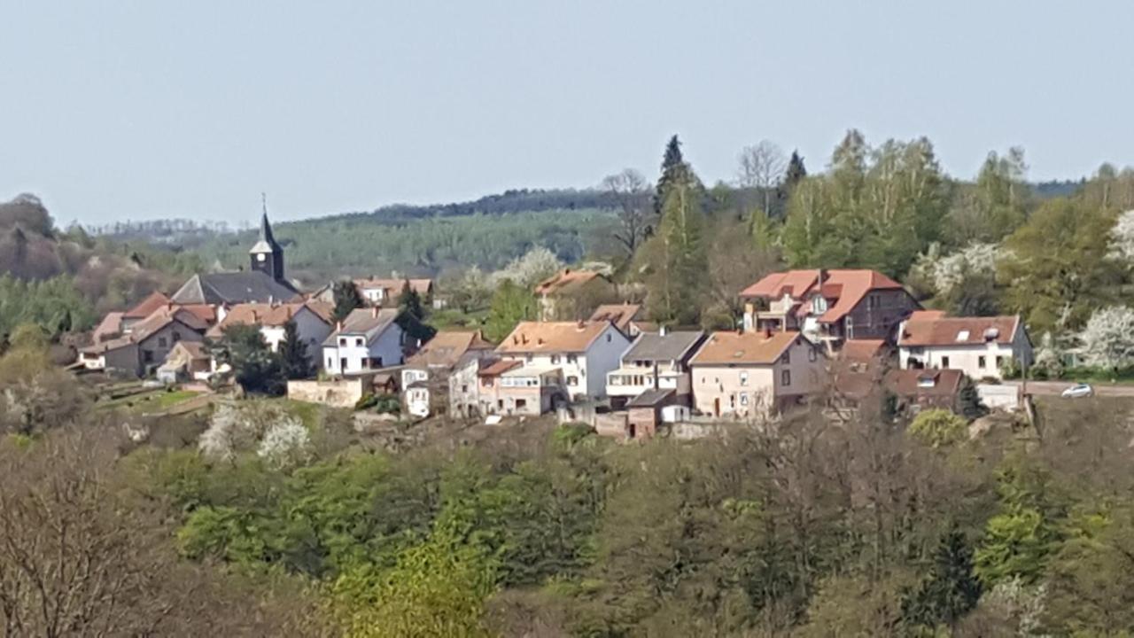 Au Chalet Bain Nordique Neuf Independant Calme Assure Haselbourg Zewnętrze zdjęcie