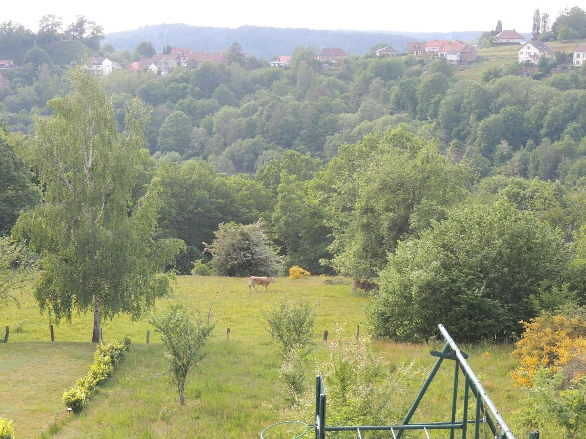 Au Chalet Bain Nordique Neuf Independant Calme Assure Haselbourg Zewnętrze zdjęcie