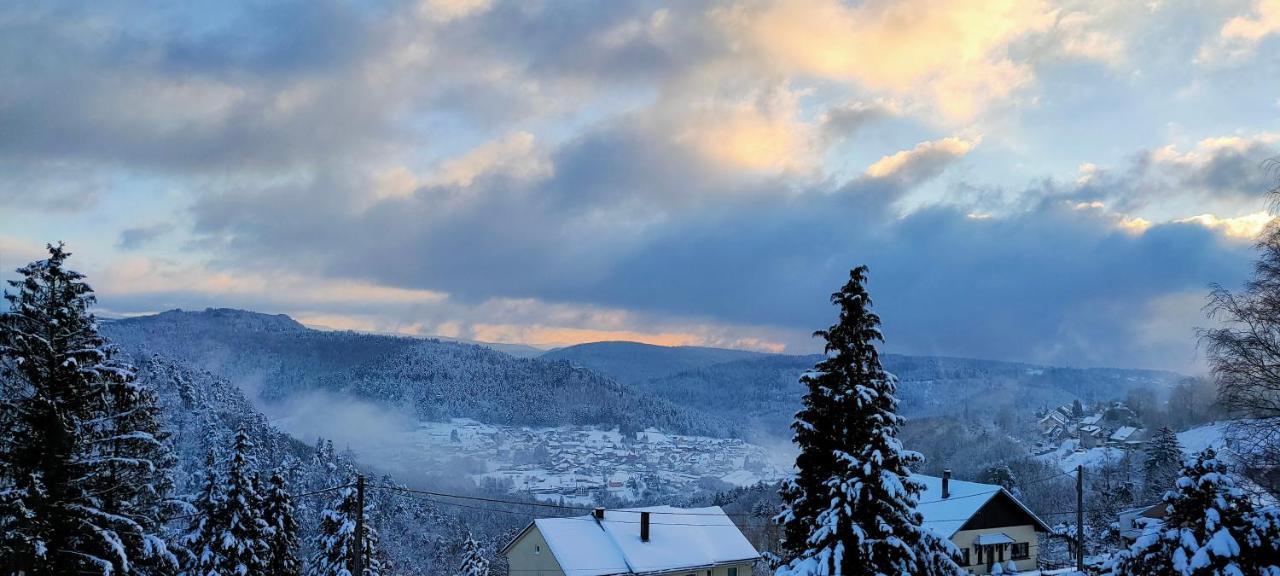 Au Chalet Bain Nordique Neuf Independant Calme Assure Haselbourg Zewnętrze zdjęcie